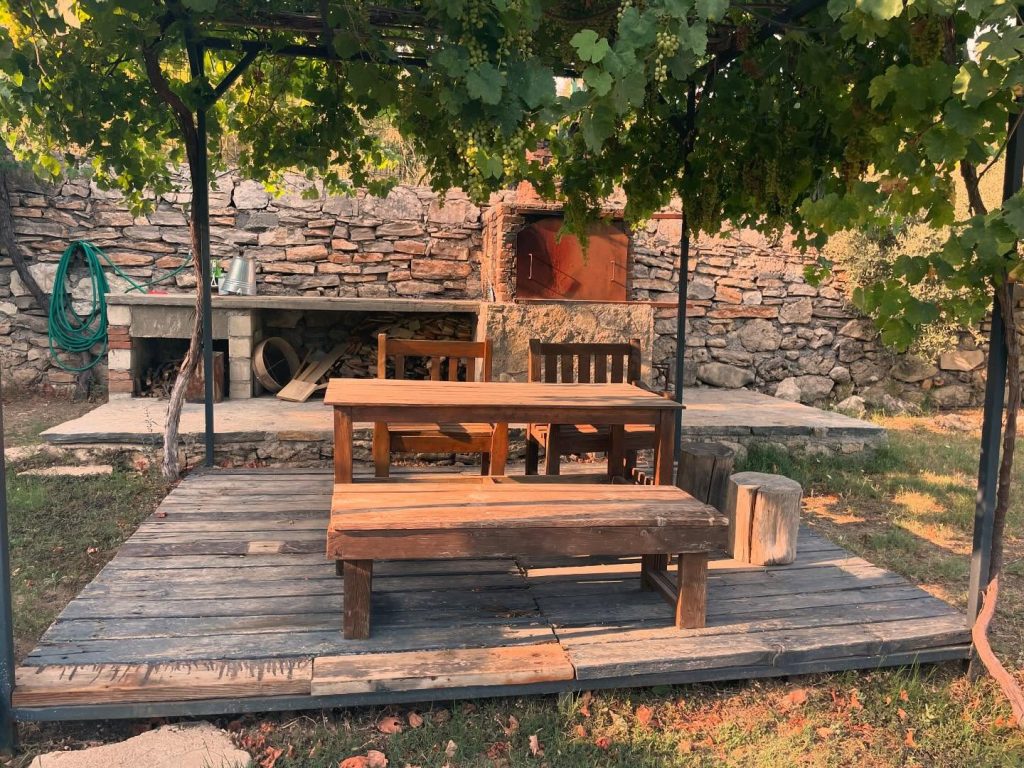 koyevinefes_1720427972_3407519262459710295_67960362800