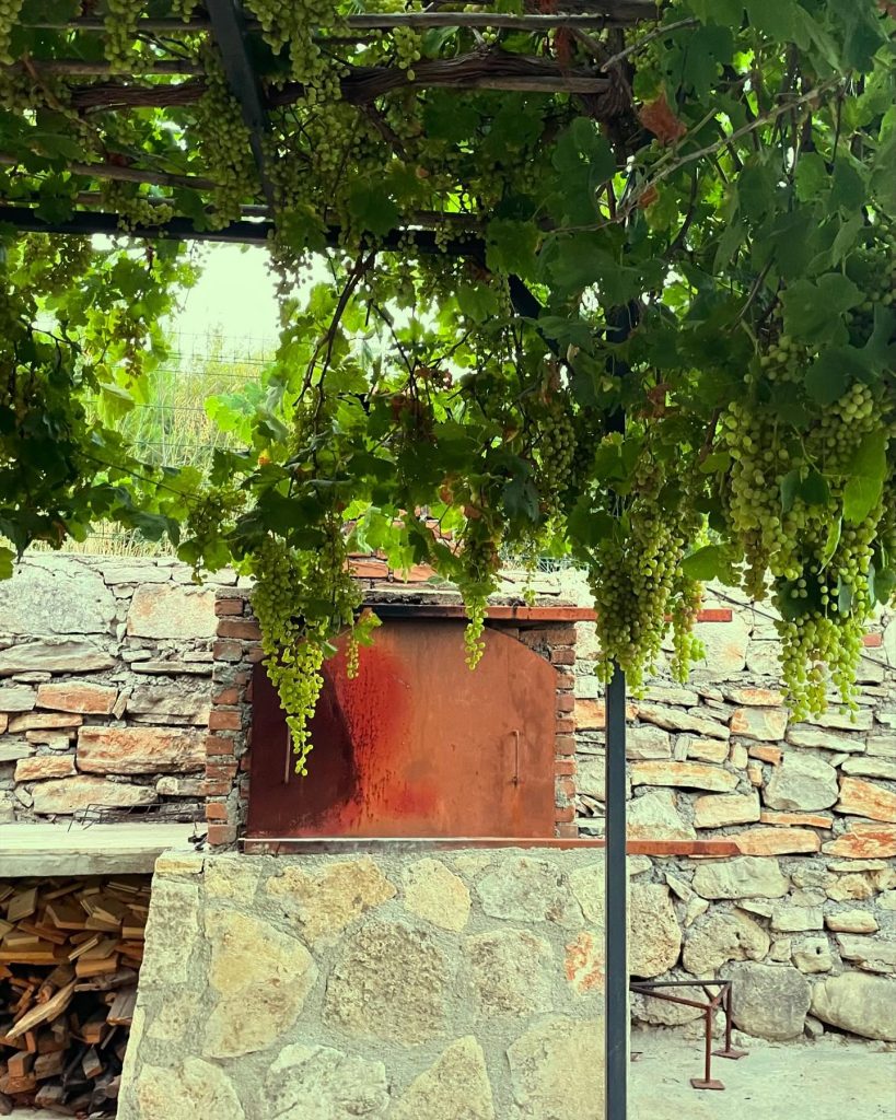 koyevinefes_1720430582_3407541155929731848_67960362800